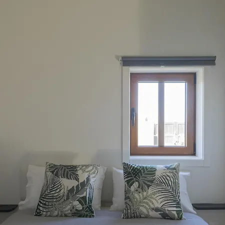 Flowers & Oporto House *