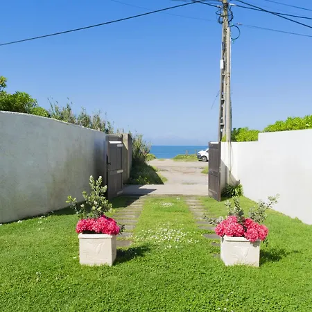 Flowers & Oporto House *