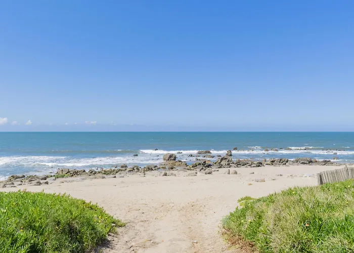 بيت للعطل Flowers & Oporto House