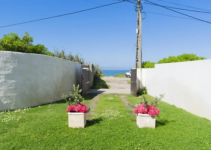 Flowers & Oporto House *